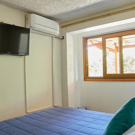Hostal Aldea Colchagua Experience Santa Cruz Exterior photo