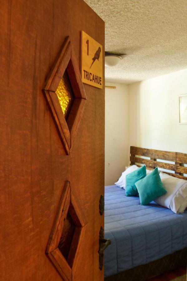 Hostal Aldea Colchagua Experience Santa Cruz Exterior photo